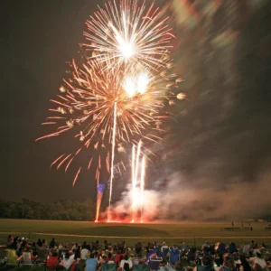 Fireworks exploding in the sky